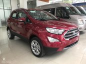 Ford Q2 bán Ford EcoSport Titanium 2018, tặng bảo hiểm vật chất, dán kính 3M và camera hành trình