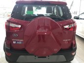 Ford Q2 bán Ford EcoSport Titanium 2018, tặng bảo hiểm vật chất, dán kính 3M và camera hành trình