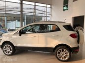 Ford Pháp Vân, bán xe Ford Ecosport 1.0 đủ màu, trả góp 90%, giao xe toàn quốc. LH: 0988587365