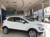 Ford Pháp Vân, bán xe Ford Ecosport 1.0 đủ màu, trả góp 90%, giao xe toàn quốc. LH: 0988587365