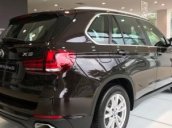 Bán BMW X5 sản xuất năm 2017, xe nhập