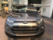 Cần bán gấp Ford EcoSport năm sản xuất 2017 chính chủ