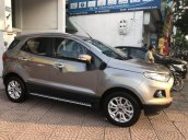 Cần bán gấp Ford EcoSport năm sản xuất 2017 chính chủ