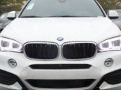 Cần bán BMW X6 năm sản xuất 2017, màu trắng, nhập khẩu