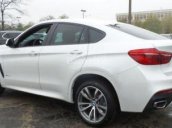 Cần bán BMW X6 năm sản xuất 2017, màu trắng, nhập khẩu