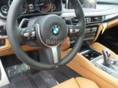 Cần bán BMW X6 năm sản xuất 2017, màu trắng, nhập khẩu