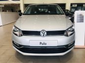 Bán Volkswagen Polo Hatchback đủ màu giao toàn quốc, trả trước chỉ 150tr - 090.364.3659