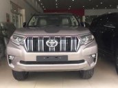 Bán xe Toyota Prado 2.7 VX năm 2018, nhập khẩu