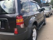 Bán Ford Escape năm sản xuất 2003, màu đen, giá chỉ 175 triệu