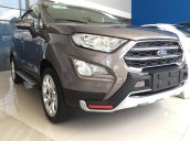 Cần bán xe Ford EcoSport năm 2018, màu nâu giá cạnh tranh, tặng bảo hiểm vật chất, giao xe tận nơi