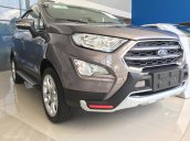 Cần bán xe Ford EcoSport năm 2018, màu nâu giá cạnh tranh, tặng bảo hiểm vật chất, giao xe tận nơi