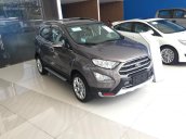 Cần bán xe Ford EcoSport năm 2018, màu nâu giá cạnh tranh, tặng bảo hiểm vật chất, giao xe tận nơi