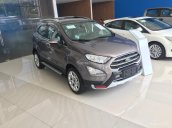 Cần bán xe Ford EcoSport năm 2018, màu nâu giá cạnh tranh, tặng bảo hiểm vật chất, giao xe tận nơi