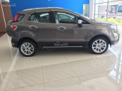 Cần bán xe Ford EcoSport năm 2018, màu nâu giá cạnh tranh, tặng bảo hiểm vật chất, giao xe tận nơi