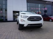 Bán Ford Ecosport Titanium 1.5L AT 2018, giá tốt nhất miền Nam