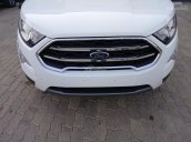 Bán Ford Ecosport Titanium 1.5L AT 2018, giá tốt nhất miền Nam