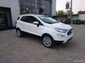 Bán Ford Ecosport Titanium 1.5L AT 2018, giá tốt nhất miền Nam