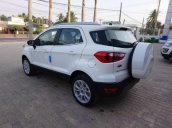 Bán Ford Ecosport Titanium 1.5L AT 2018, giá tốt nhất miền Nam