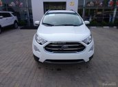 Bán Ford Ecosport Titanium 1.5L AT 2018, giá tốt nhất miền Nam