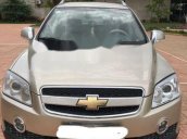 Cần bán Chevrolet Captiva sản xuất 2009, màu ghi vàng