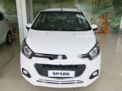 Cần bán xe Chevrolet Spark đời 2018, màu trắng