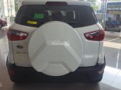 Ford Ecosport đời 2018 tặng gói quà tặng phụ kiện 20tr đồng