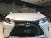 Bán Lexus ES 250 đời 2018, màu trắng, nhập khẩu nguyên chiếc chính hãng