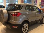 Duy nhất hôm nay Ford Ecosport giá cực tốt, liên hệ 0935.389.404 - Hoàng Ford Đà Nẵng