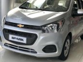 Cần bán Chevrolet Spark sản xuất năm 2018, màu bạc, giá tốt