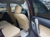 Cần bán Toyota Prado TXL 2010, nhập khẩu nguyên chiếc