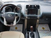 Cần bán Toyota Prado TXL 2010, nhập khẩu nguyên chiếc