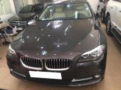 Bán xe BMW 5 Series 520i năm sản xuất 2016, màu nâu, xe nhập