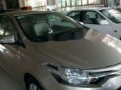 Cần bán gấp Toyota Vios năm sản xuất 2016, màu ghi vàng