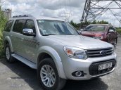 Bán xe Ford Everest sản xuất năm 2015, màu bạc