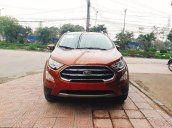 Bán Ford Ecosport 2018 giá từ 545tr - Khuyến mại hấp dẫn - Hỗ trợ thủ tục nhanh gọn - Giao xe toàn quốc