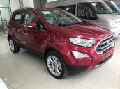 Bán Ford Ecosport 2018, cho vay 90-100%, tặng cammera hành trình, bảo hiểm thân xe, film cách nhiệt 3m cao cấp