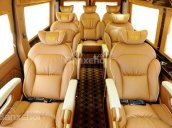 Bán xe Ford Transit Limousine đời 2018 10 chỗ bản business, dành cho xe chạy tuyến, bán trọn gói tại Ford An Đô