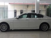 Bán BMW 5 Series 520i 2014, màu trắng, nhập khẩu