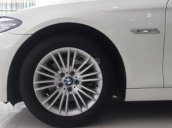 Bán BMW 5 Series 520i 2014, màu trắng, nhập khẩu