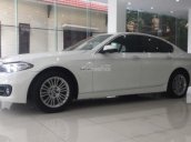 Bán BMW 5 Series 520i 2014, màu trắng, nhập khẩu