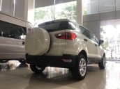 Bán Ford EcoSport năm sản xuất 2018, màu trắng