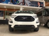 Bán Ford EcoSport năm sản xuất 2018, màu trắng