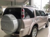 Bán xe Ford Everest 2.5L 4x2 AT sản xuất năm 2015, màu vàng, 675tr