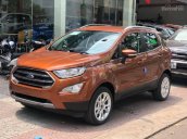 Bán Ford Ecosport 2018, nhiều ưu đãi tốt nhất thị trường