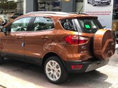 Bán Ford Ecosport 2018, nhiều ưu đãi tốt nhất thị trường