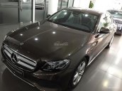 Cần bán lại xe Mercedes E250 sản xuất năm 2017, màu nâu