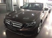 Cần bán Mercedes E250 đời 2017, màu nâu