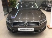 Bán Passat GP màu nâu, nhập khẩu Đức, giao xe ngay hỗ trợ vay 80%, Volkswagen Đà Nẵng