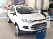 Bán xe Ford EcoSport 2018 tại giá rẻ Quảng Ninh