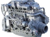 Bán gấp Daewoo BH116 SF-47 chỗ, xe khách chất lượng cao, công suất 310PS, lô mới về, bán giá gốc